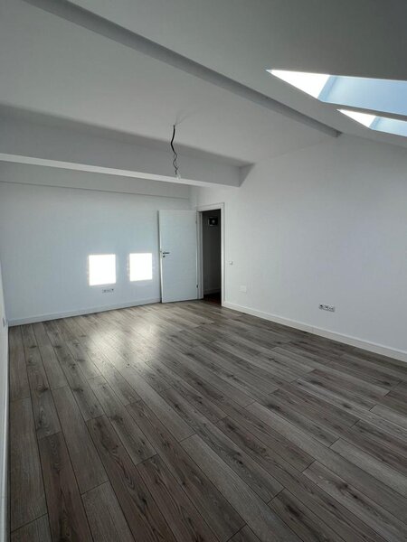 Domenii, Ion Mihalache,