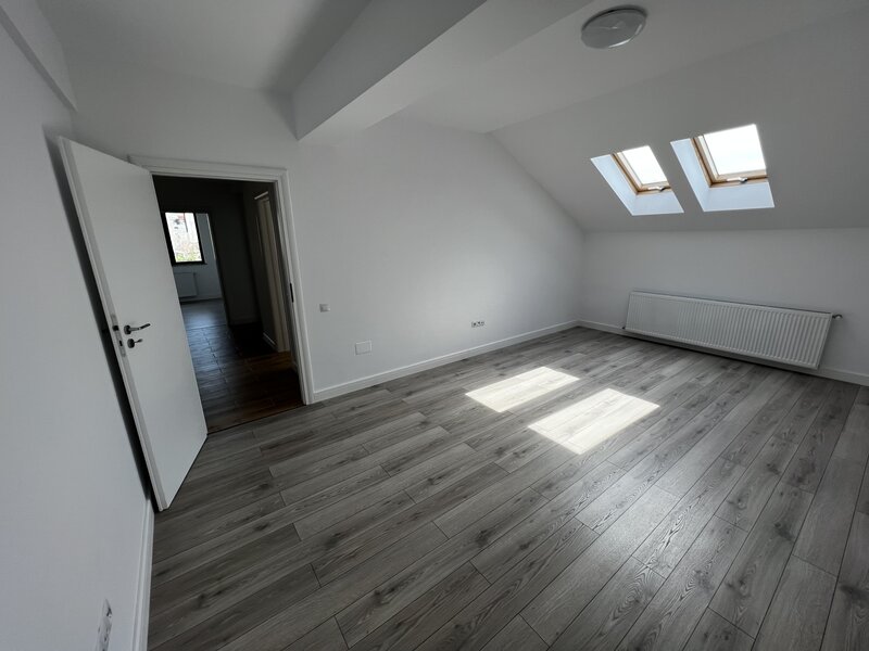 Domenii, Ion Mihalache,