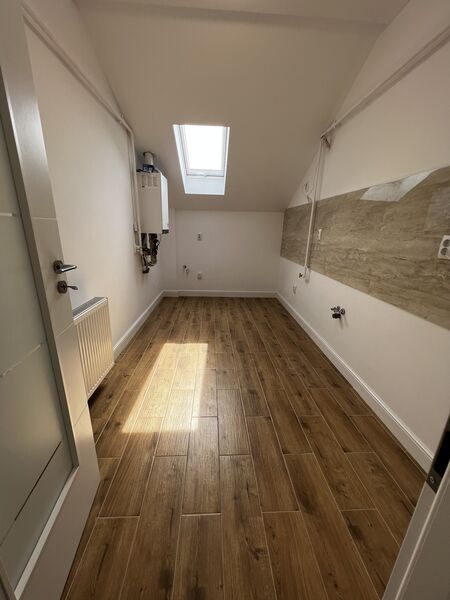 Domenii, Ion Mihalache,