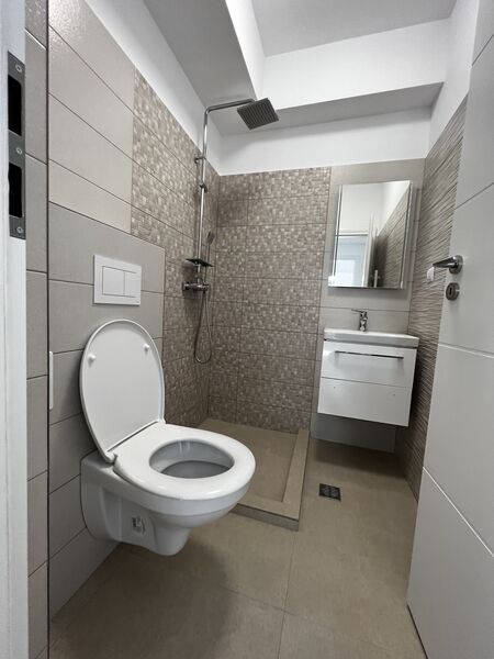 Domenii, Ion Mihalache,