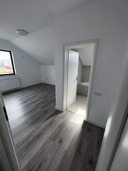 Domenii, Ion Mihalache,