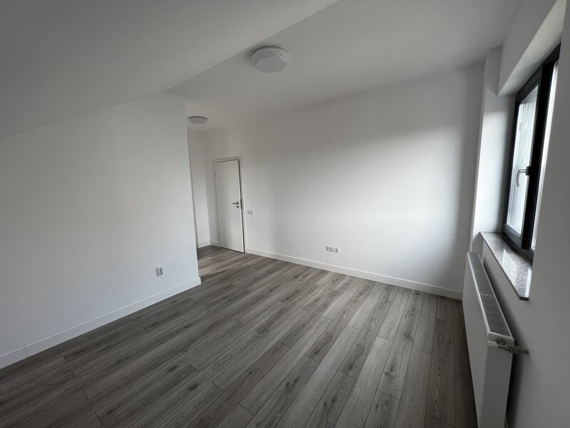 Domenii, Ion Mihalache,