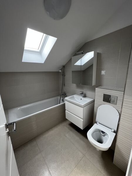 Domenii, Ion Mihalache,